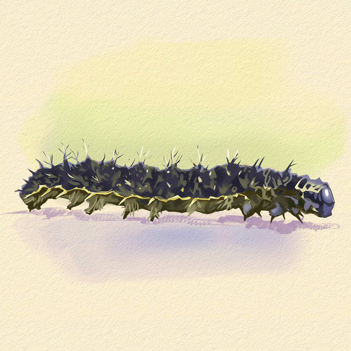 painted lady butterfly caterpillar