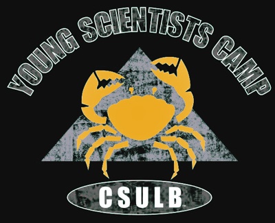 Young Scientists' Camp - C S U L B