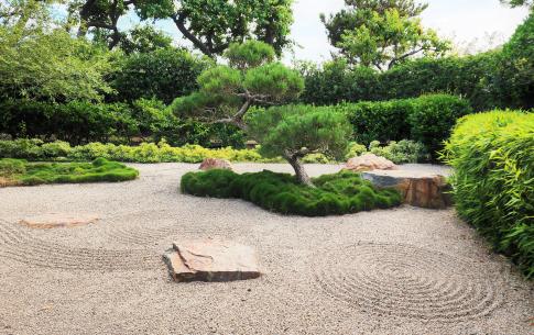 Wide-shot of the zen rock garden. The rocks are raked in a symbolic pattern, and in the middle are islands of grass and bonsai.