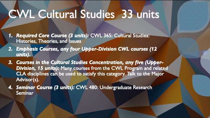 cultural studies flyer