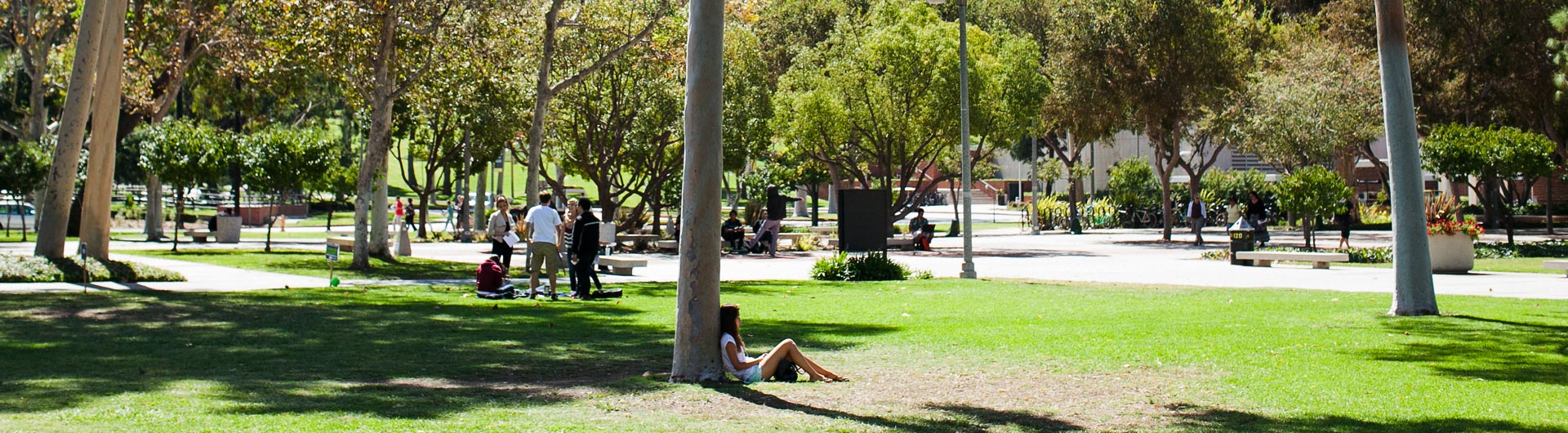 May 2023 Accomplishments Of The Csulb Community California State