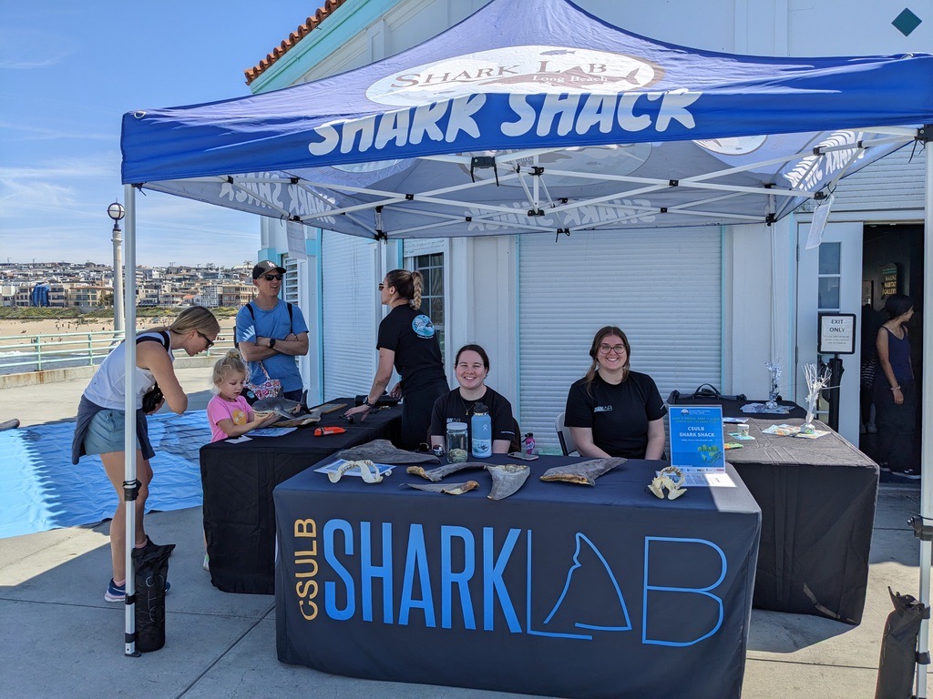 friendly staff at the Shark Shack