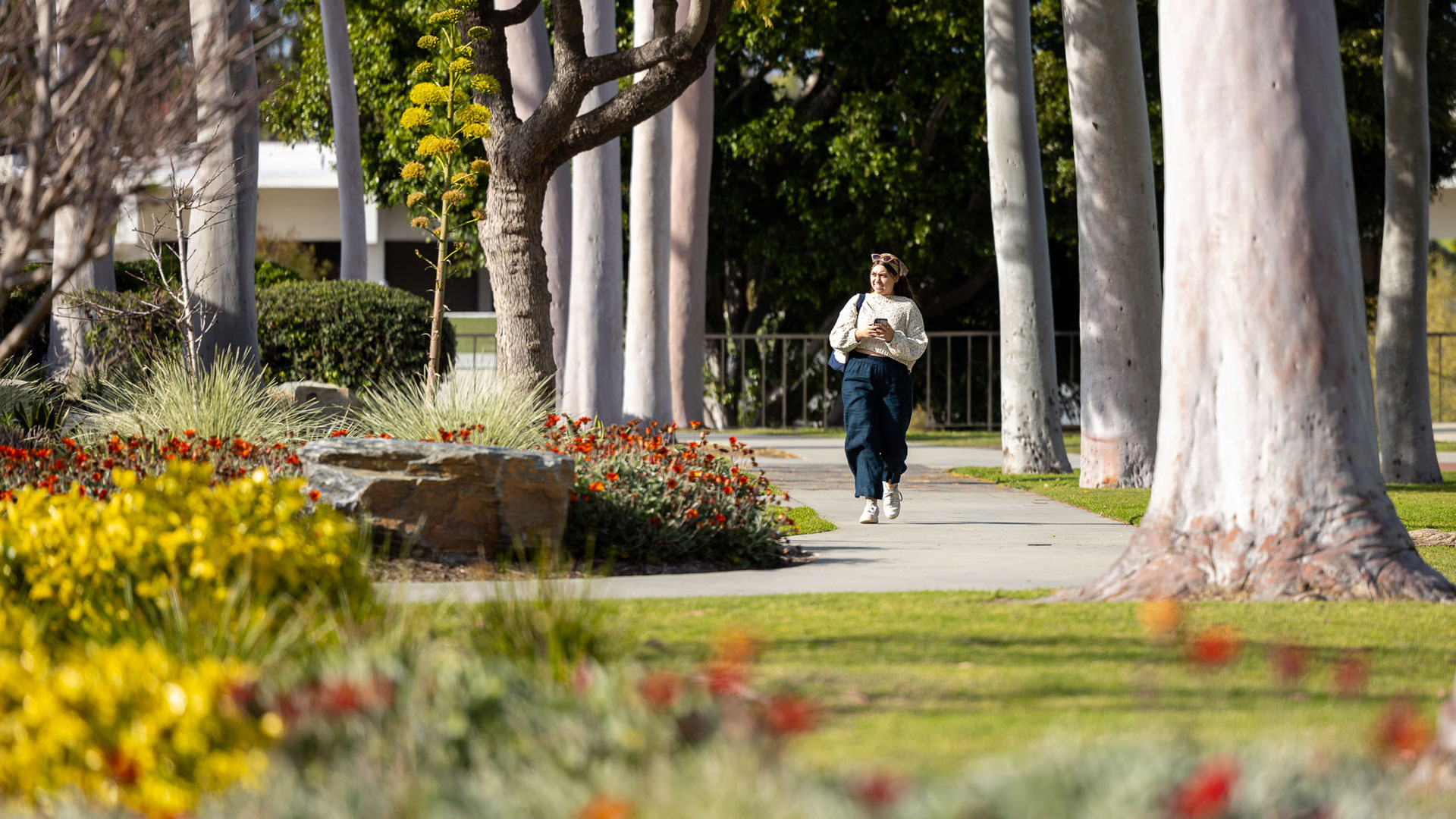 Eight free or lowcost things to do at CSULB during the summer