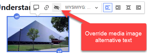 On the modal controls when images are selected in Drupal, there is a button called override media image alternative text.