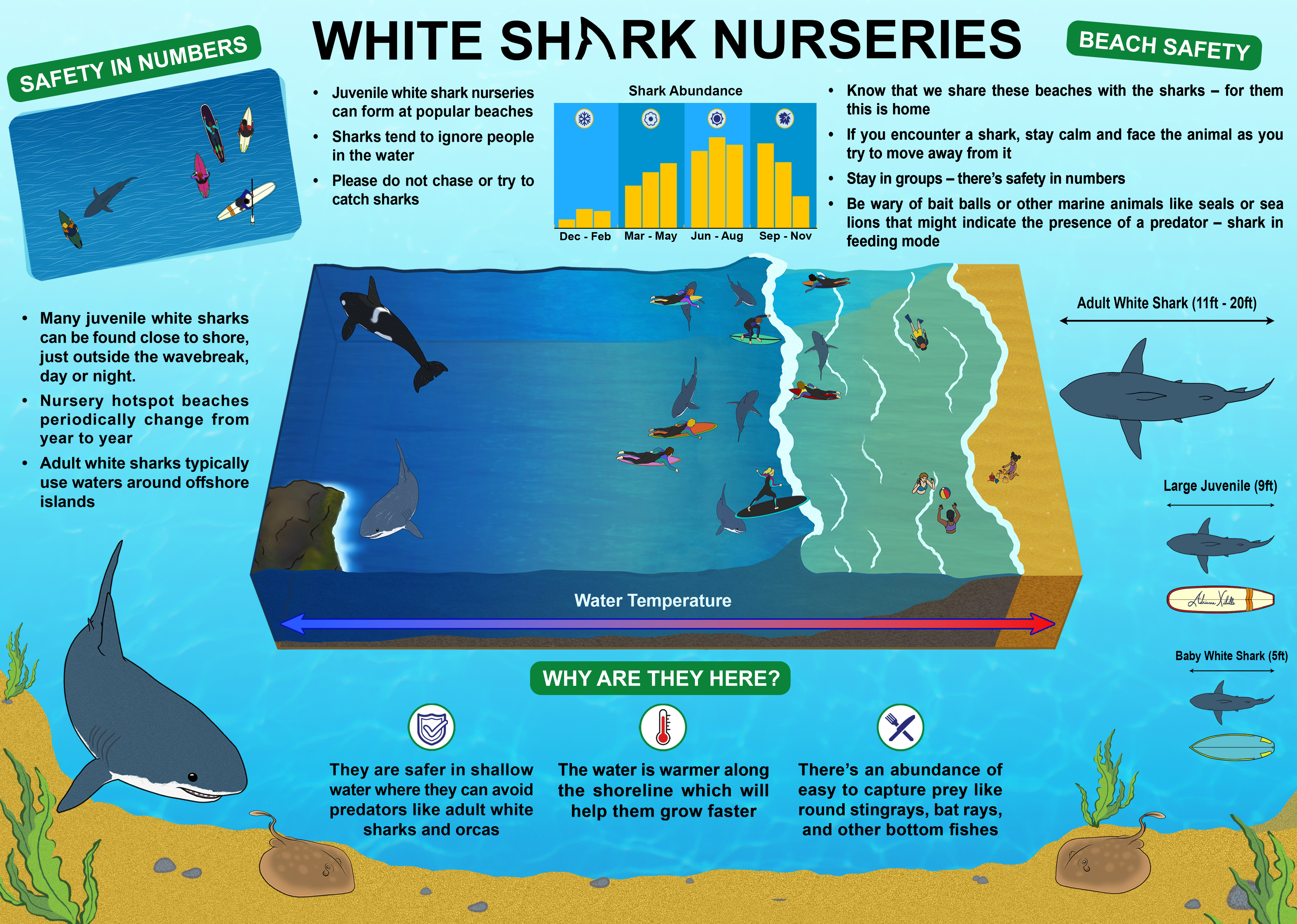 White Shark Nurseries