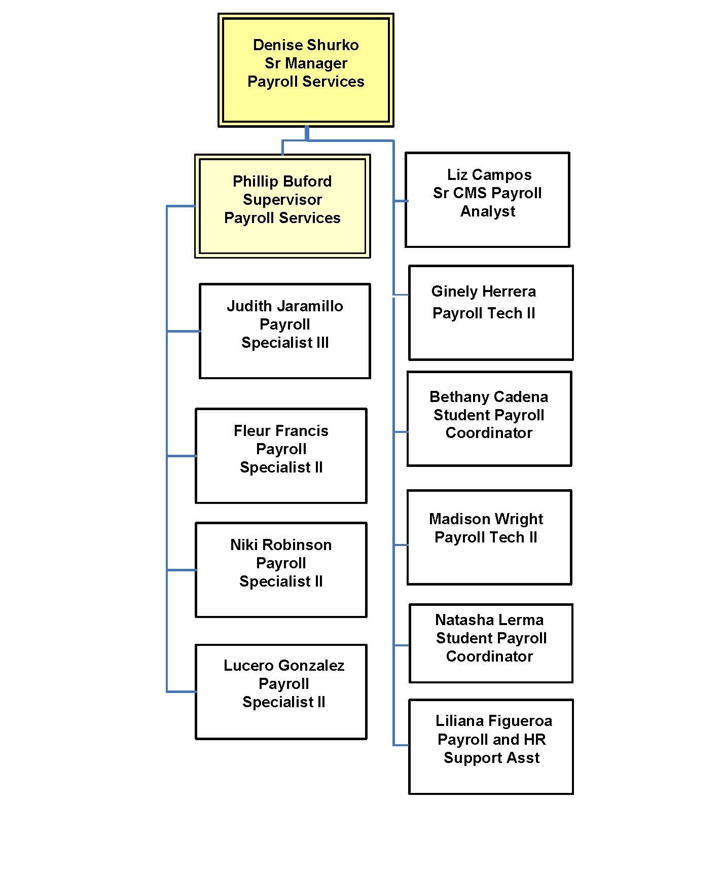 Payroll Organization Chart