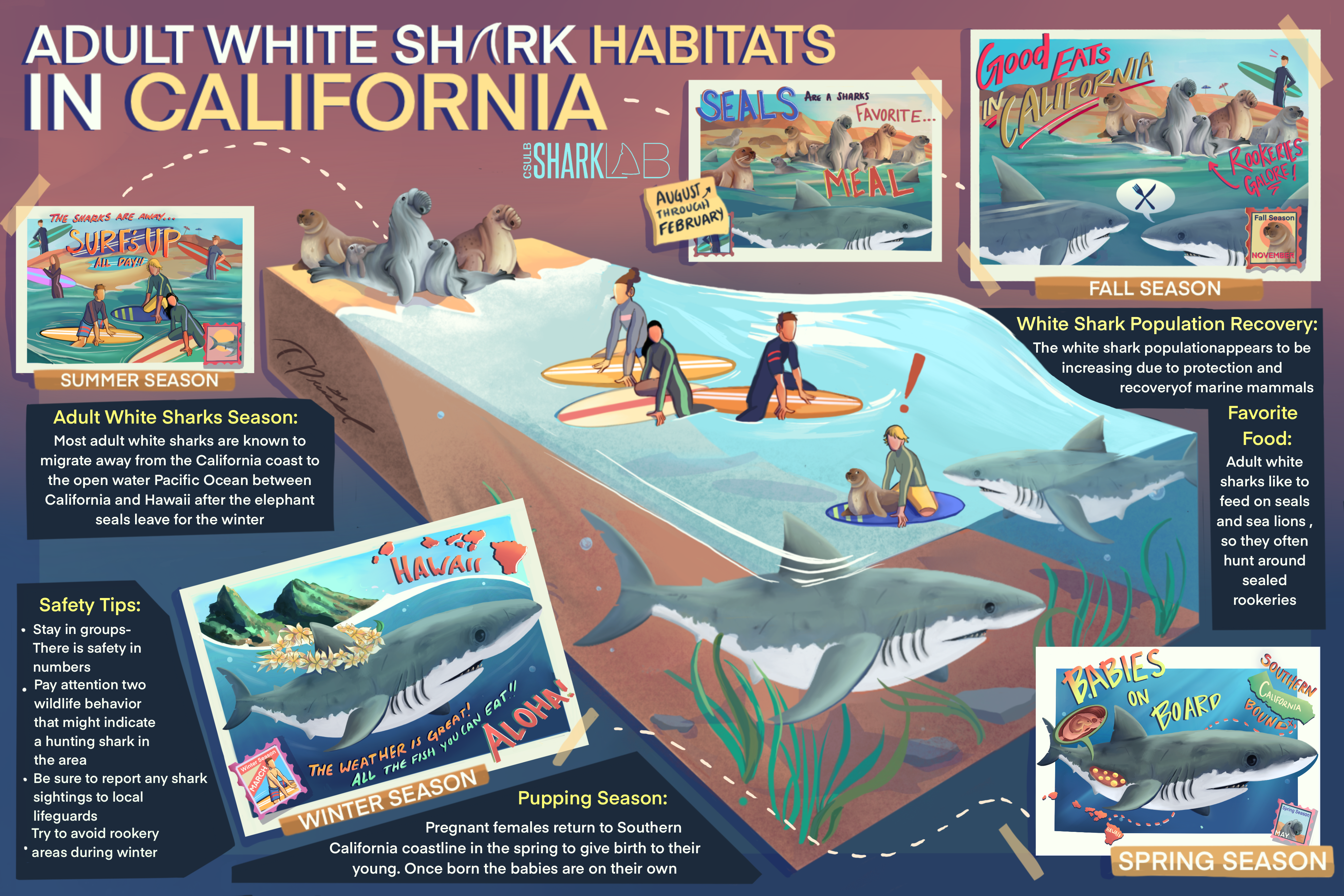 Adult White Shark Habitats in California