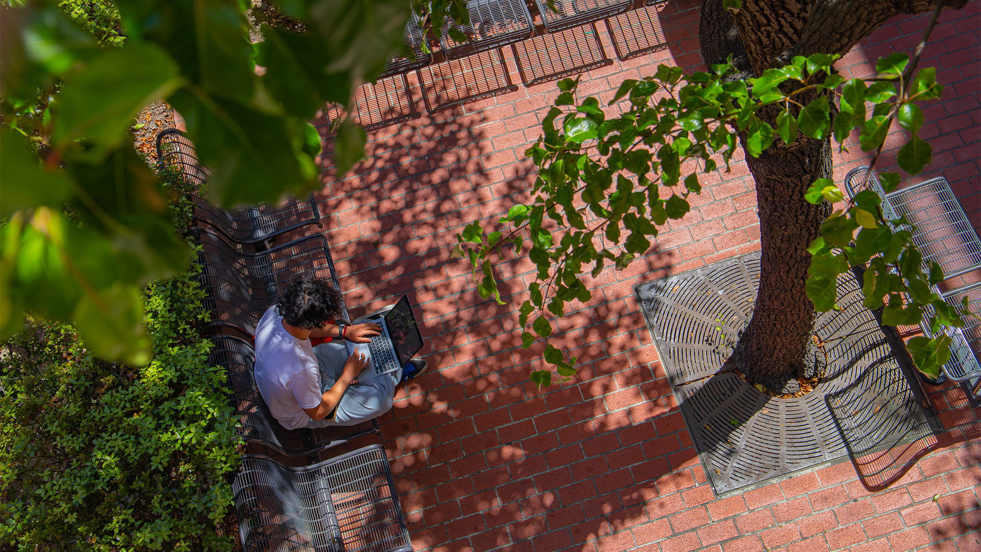 CSULB student sits on bench and looks at laptop.