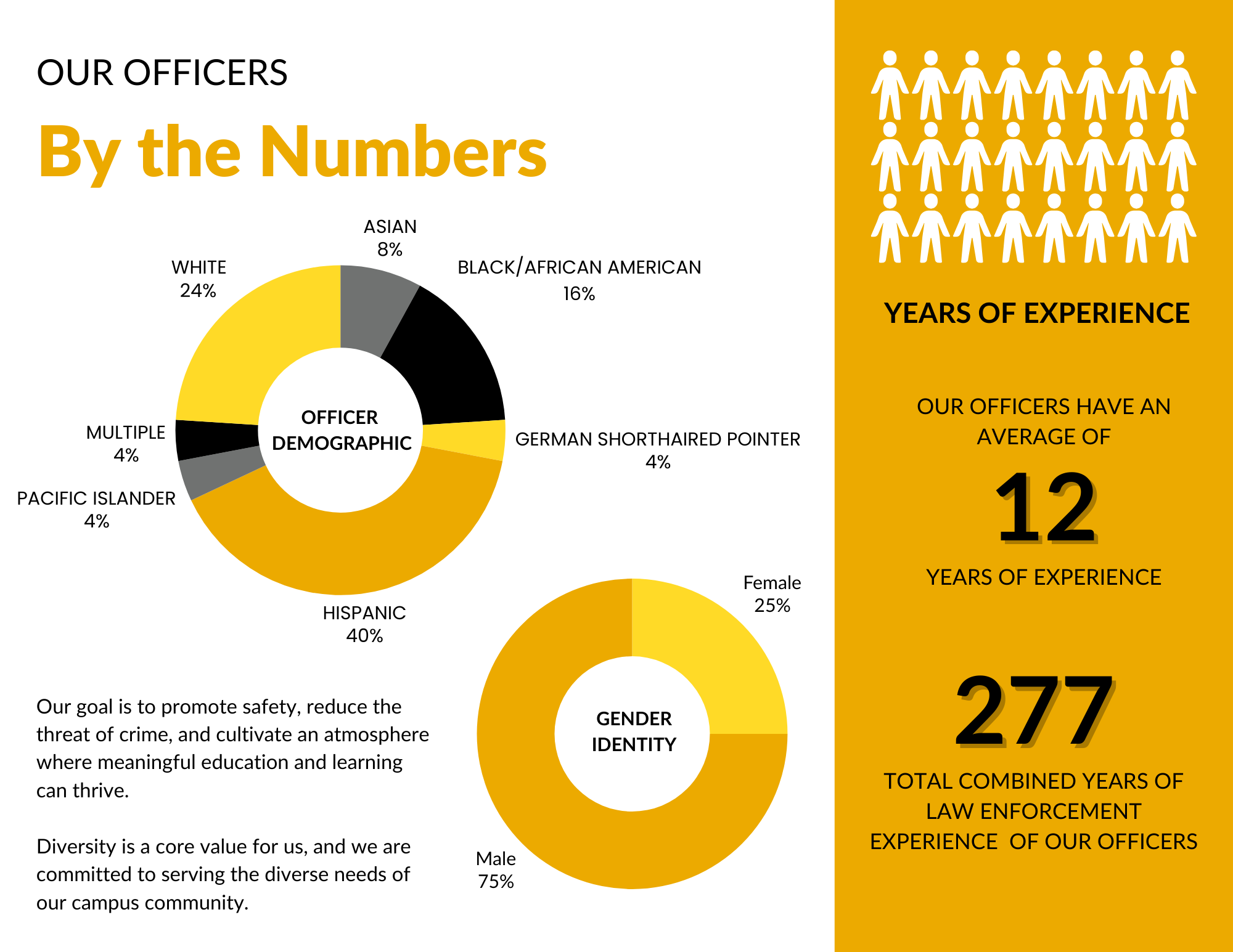 Officer demographic and years of experience