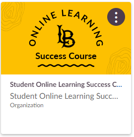 student online learning success course