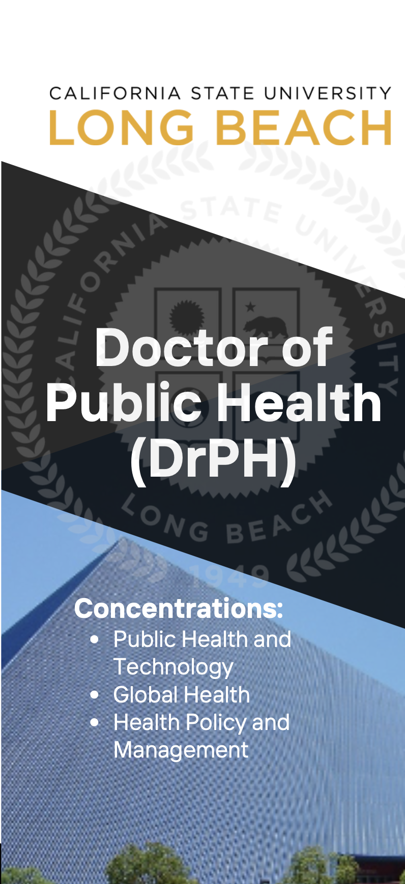 Doctor of Public Health brochure image