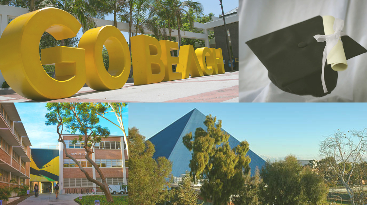 csulb collage