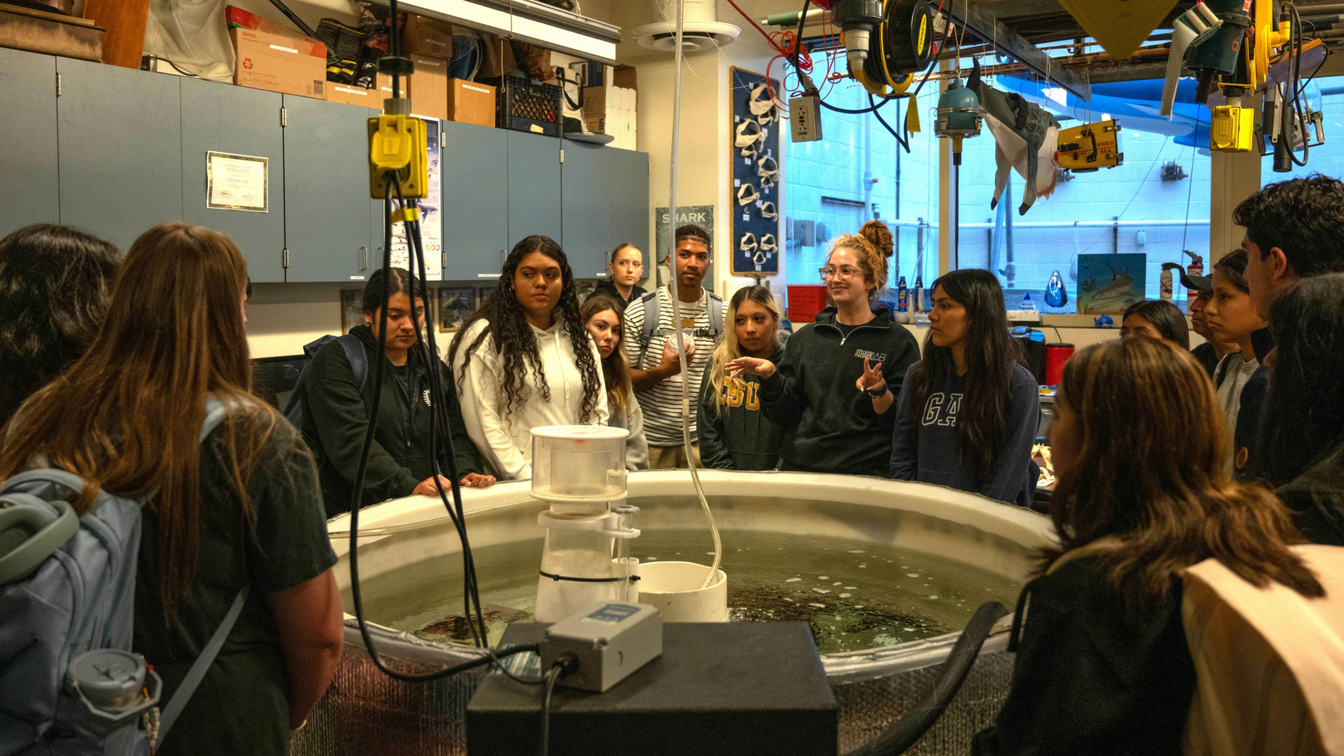 Students stand around tank in the Shark Lab at CSULB.