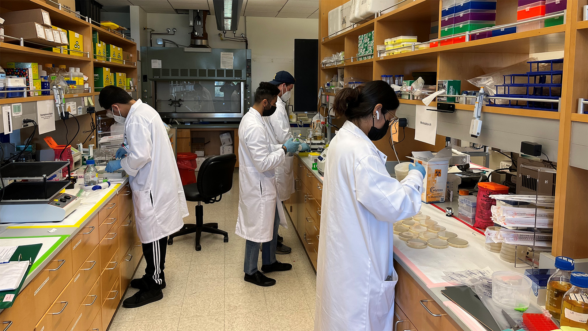 student researchers in the lab