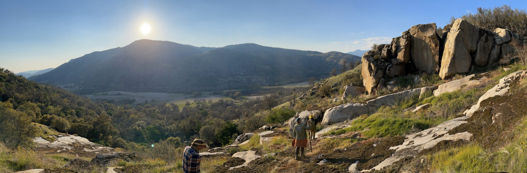 Hillside Panorama