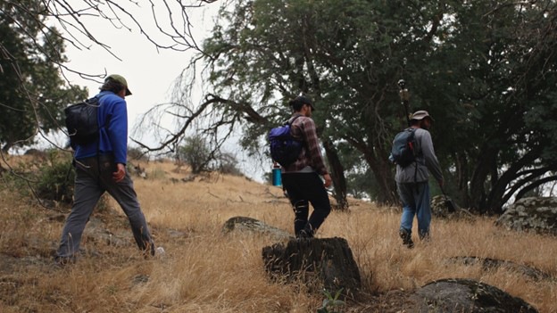 Students Collecting Tree Data