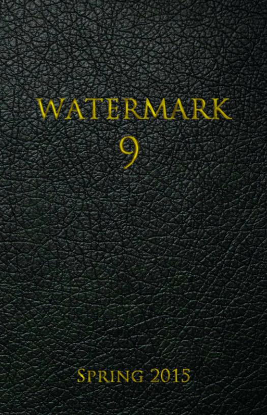 Watermark Vol.9 (Cover Image)