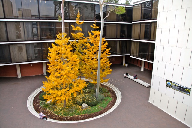 psychology building