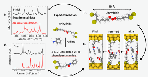 vibrational spectroscopy