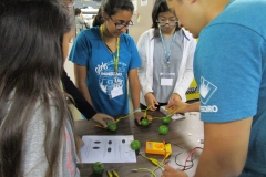 interns doing an activity