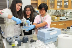 interns filling a glass beaker