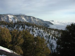 View overlooking mountains and trees