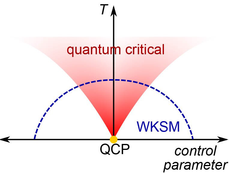 quantum critical