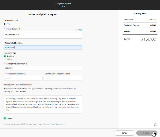 Screenshot of e-check payment page