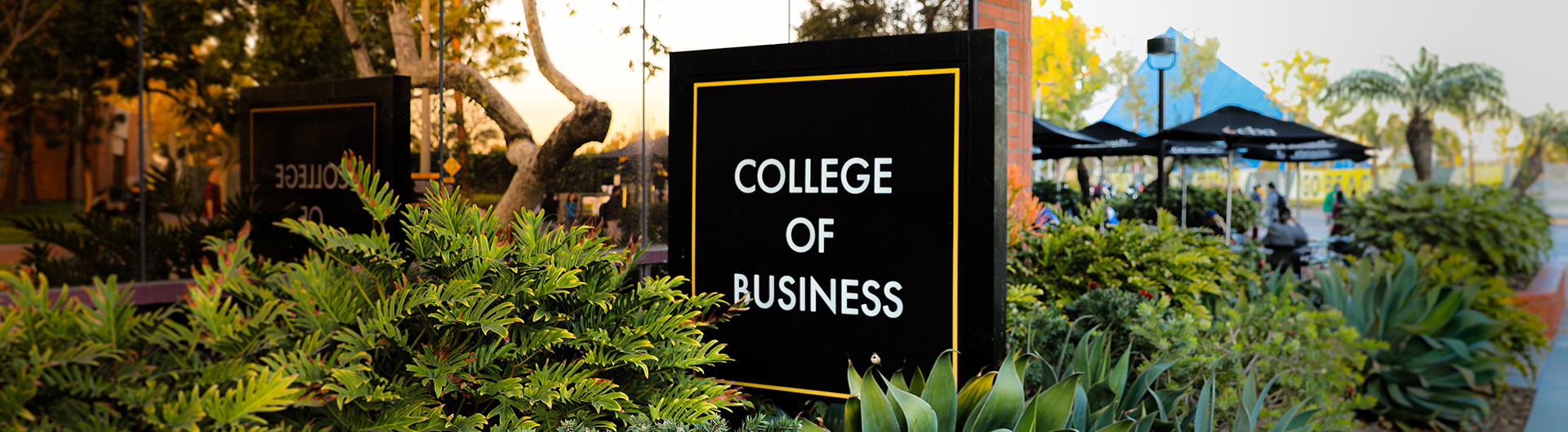 About, College of Business