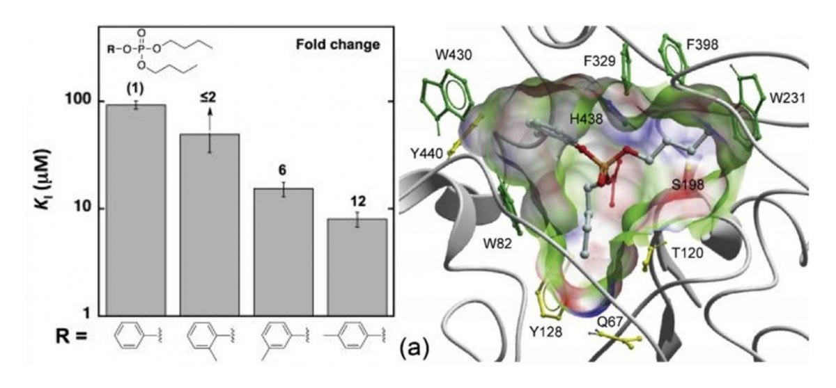 Fold change illustration