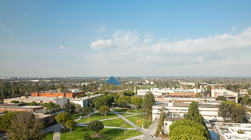 Web Council | California State University Long Beach