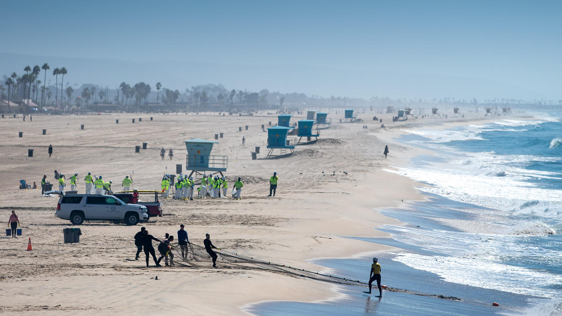 CSULB students pull nets of fish in from shore 