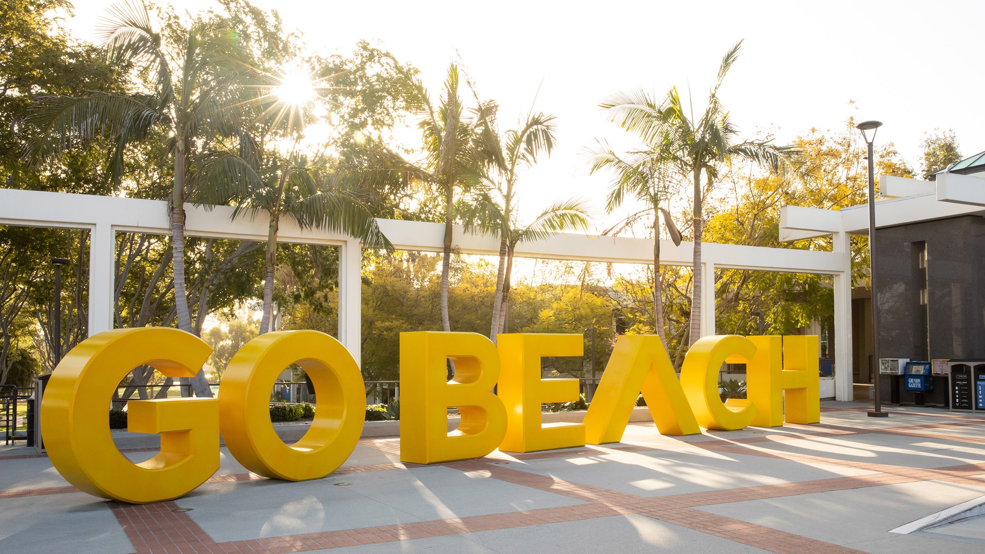 Halloween Spooktacular! | California State University Long Beach