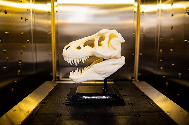 A 3D model of a dinosaur skull