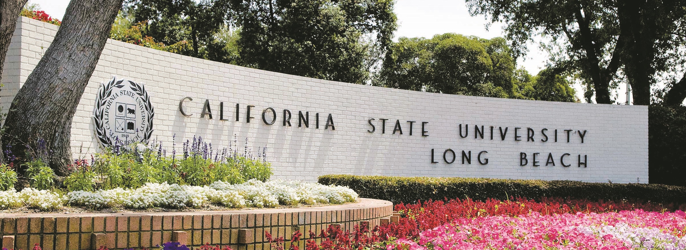 Prospective Students Admissions California State University Long Beach