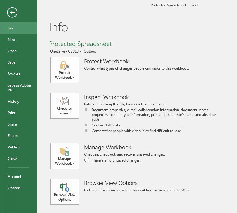 Info menu in Microsoft Excel for Windows