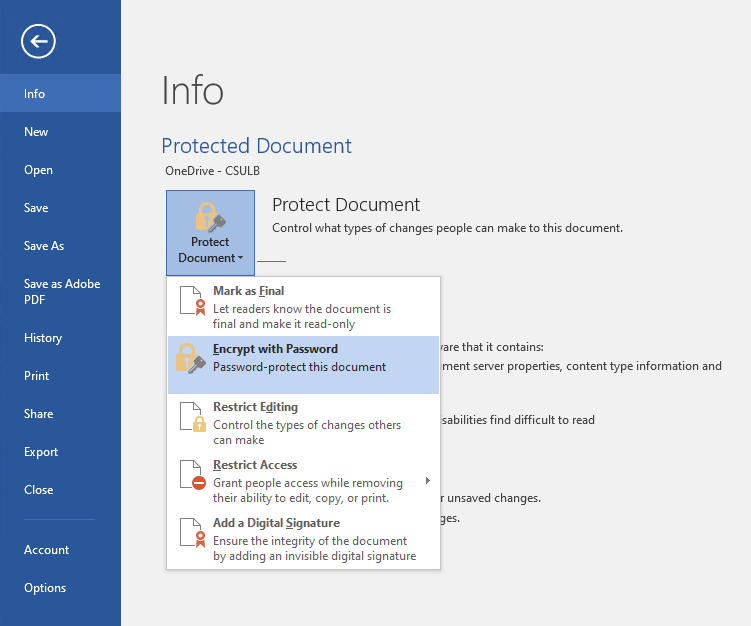 Protect Document menu