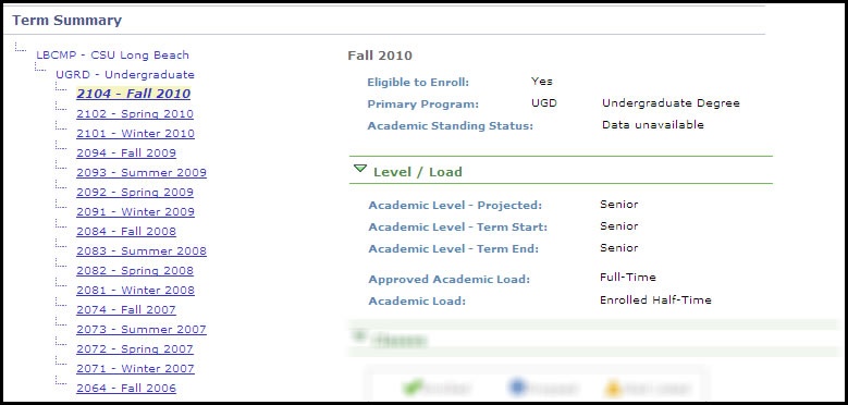 term summary detail