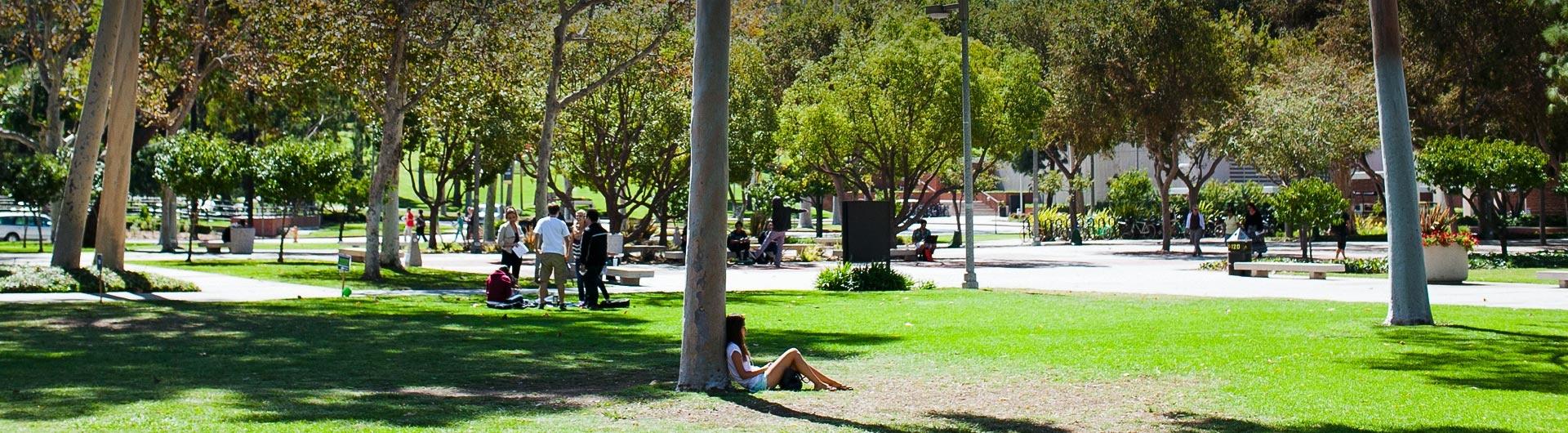 Grassy area on campus