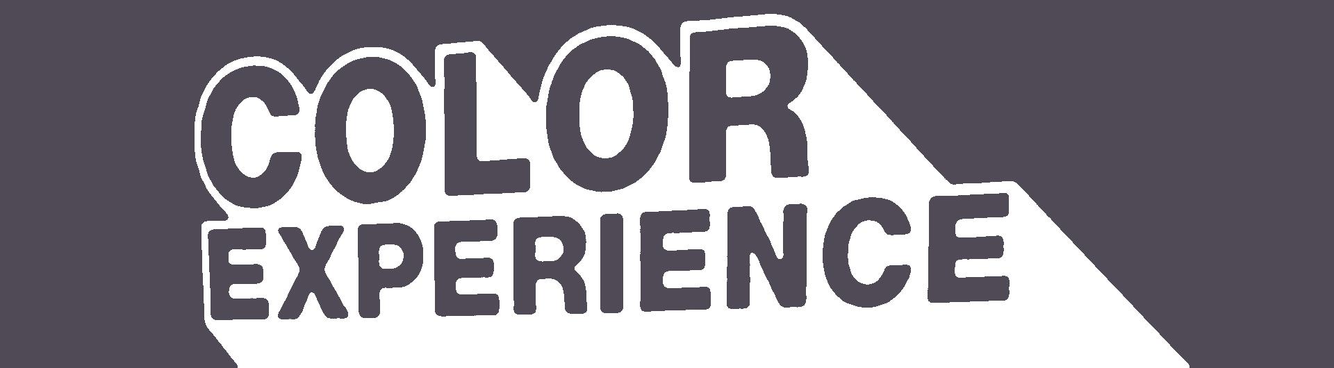Color Experience logo