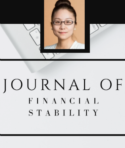 Lu Zhu Journal of Financial Stablity