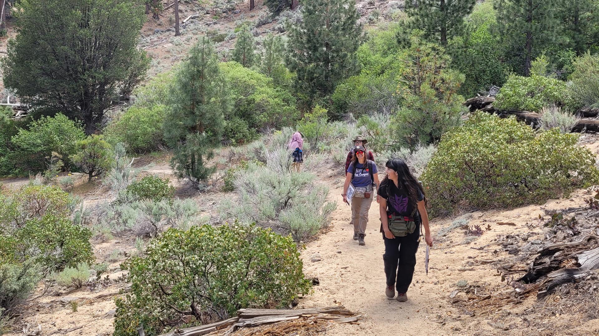 Geology students walking up hill