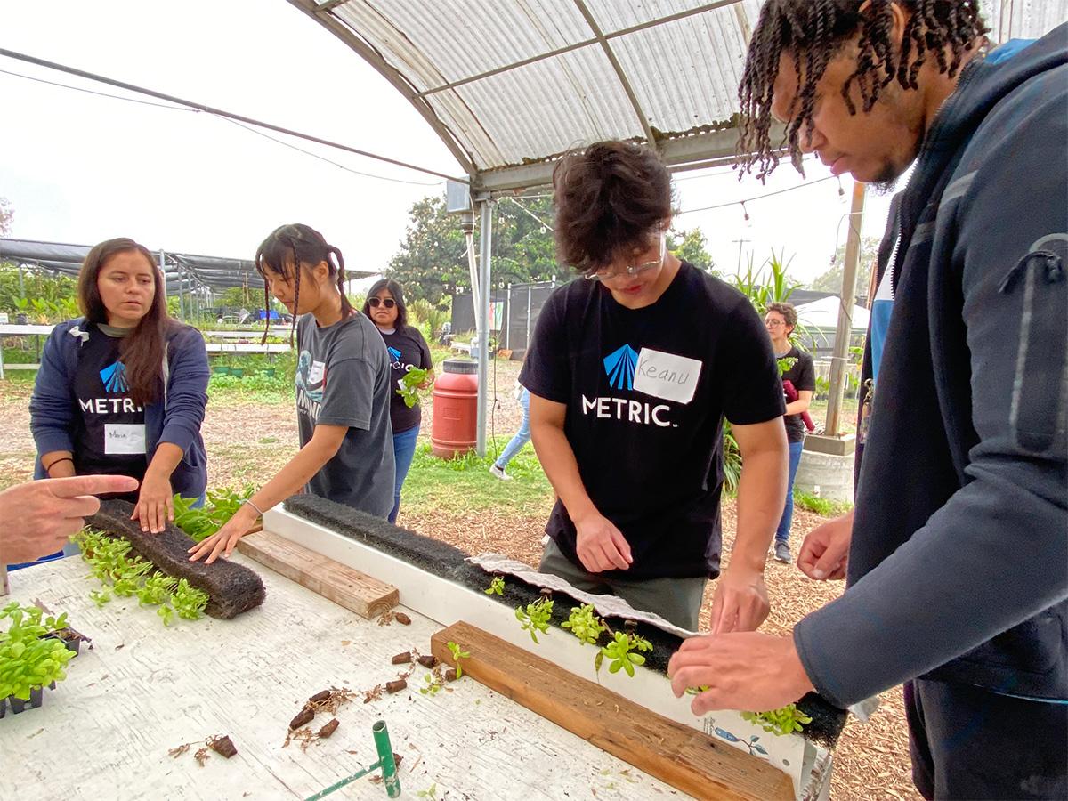 students building aquaponics system