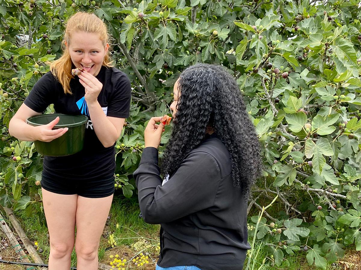 students eating figs