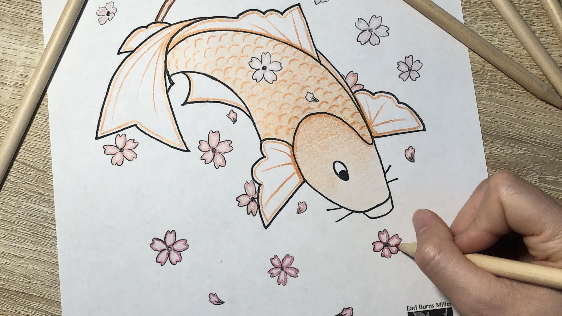 Koi Fish and Cherry Blossom Example 