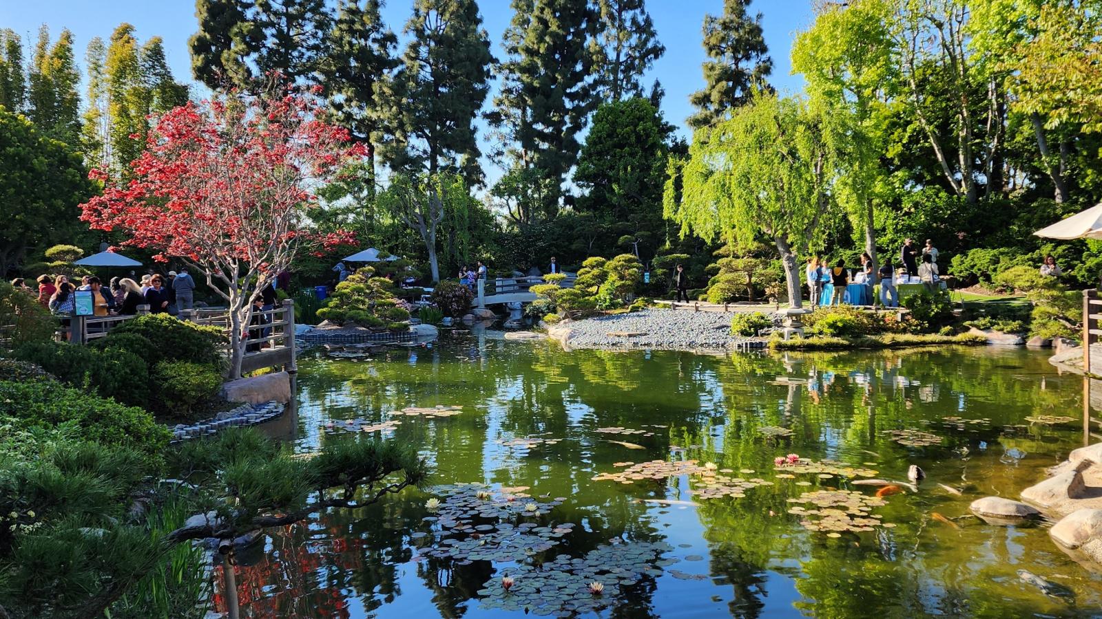 photos of Japanese Garden