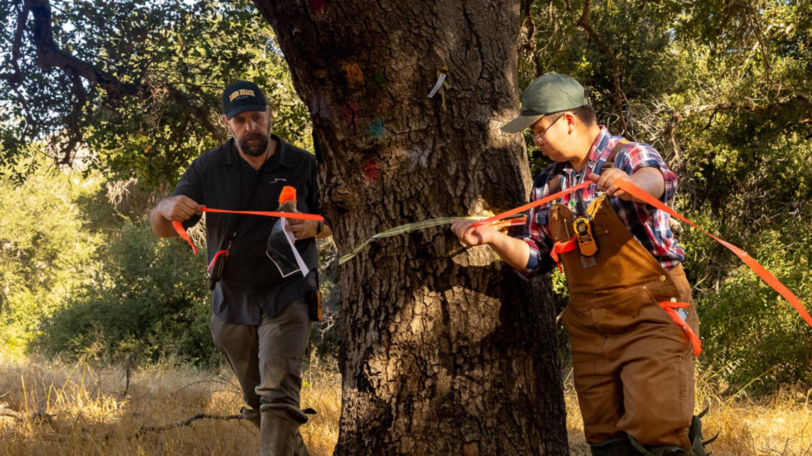 Ted Stankowich and student researcher in the field