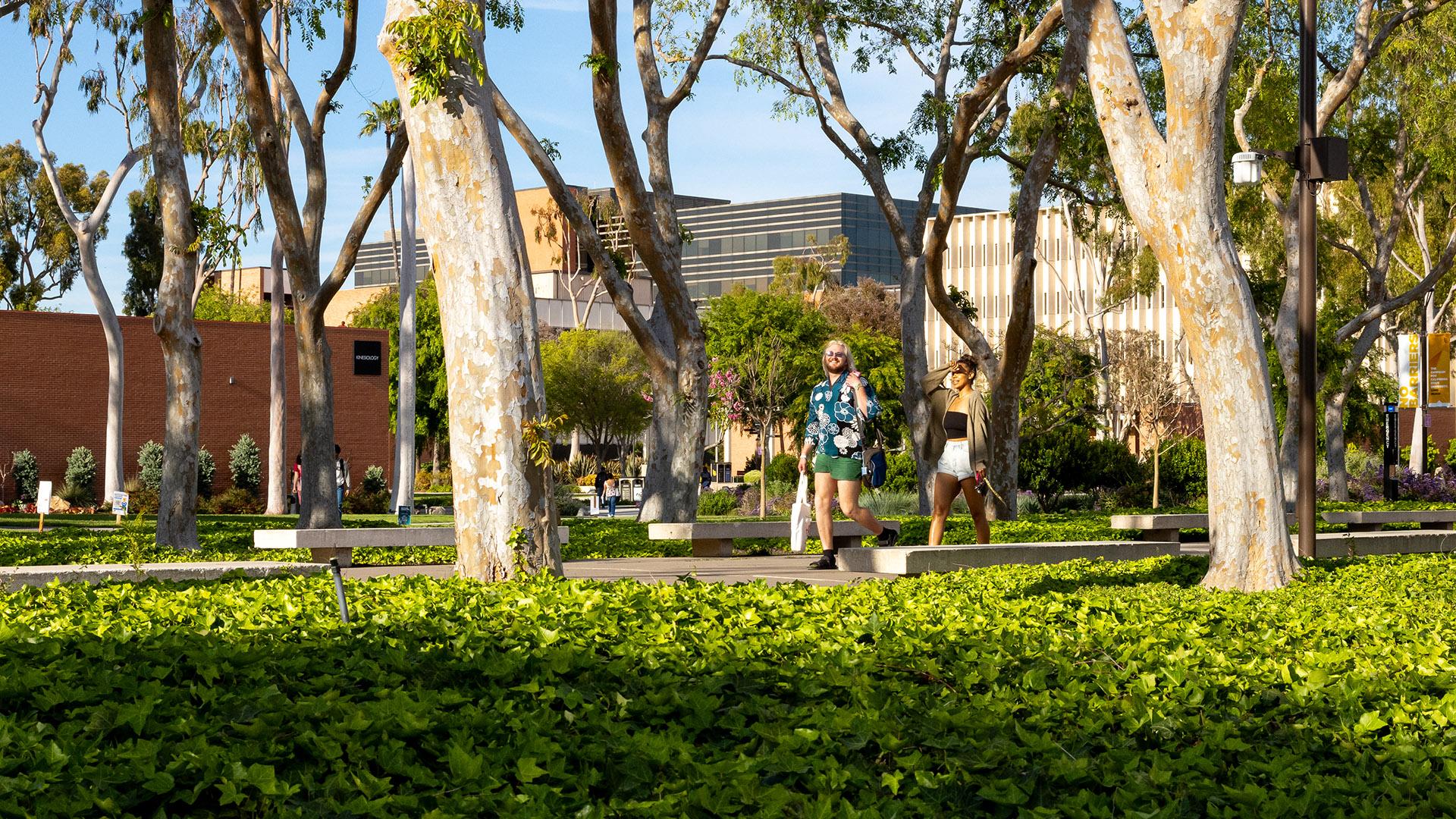 People walking on campus on a sunny day, with several trees in the image