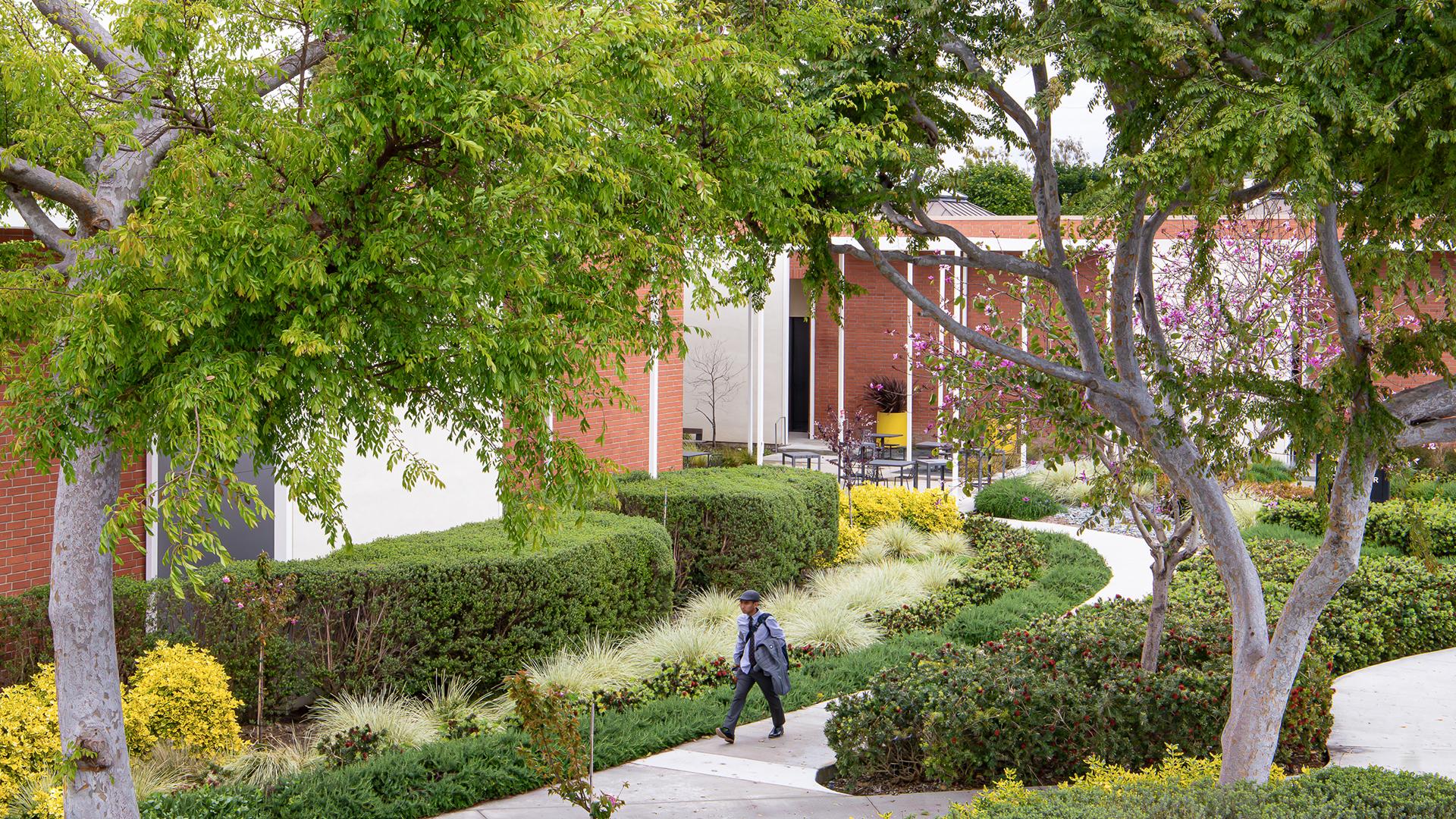 Person walking among the trees on campus