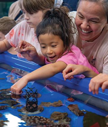 A child touches marine life in a tank while an adult supports them from behind